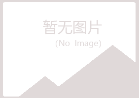 保靖县山柏化学有限公司